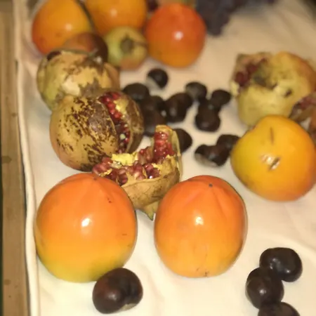 Cicolella 4* פויג'ה